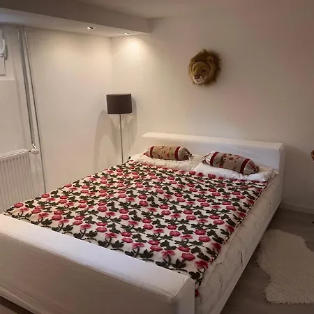 Charmante Einliegerwohnung, 3 In Ruhiger Wohnlage, 60qm, Mit Gemuetlicher Suedterrasse * Marburg